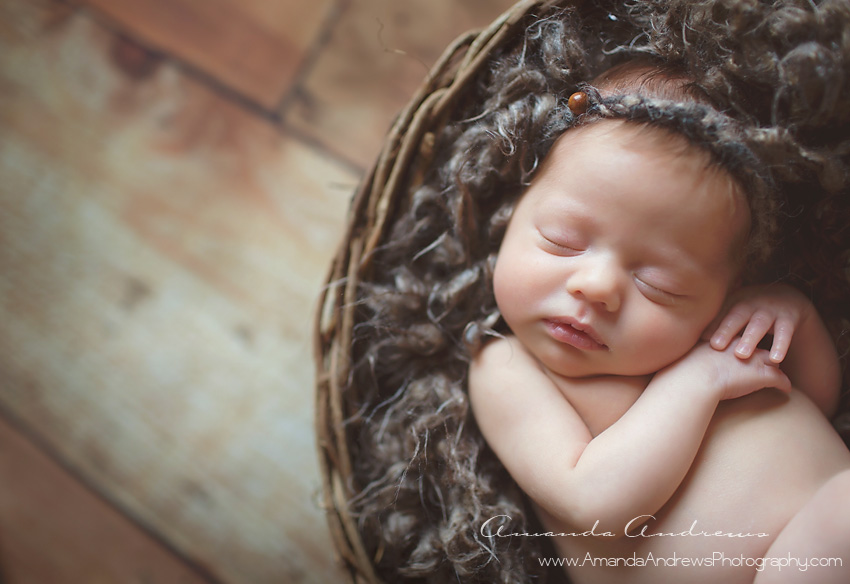 curled up baby in basket boise idaho